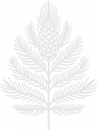 Kolaudácia projektu Botanica už v roku 2026