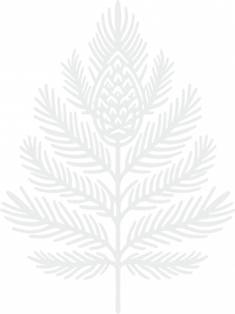 Lokalita pod lesom s výhľadom na Nízke Tatry to je Botanica Residence a Botanica Apartments